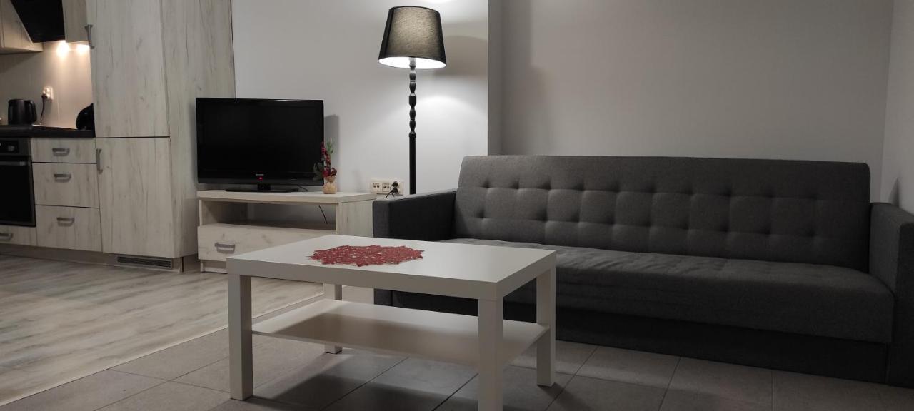 Appartamento Apartament Krakowska Częstochowa Esterno foto